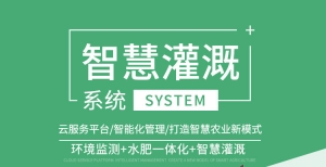 智慧灌溉 水肥一体化