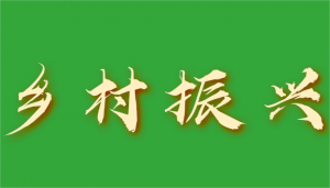 关于《加强县域商业建设助力乡村振兴实施意见（修订版）》的政策解读