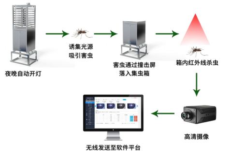 虫情检测系统